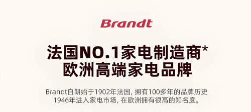 白朗BK4烤箱精准拿捏上流圈层品味爱游戏体育顶级富豪的一致选择法国(图5)